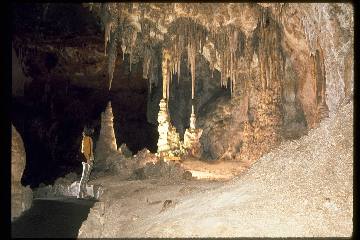 Limestone formations in Carlsbad Caverns