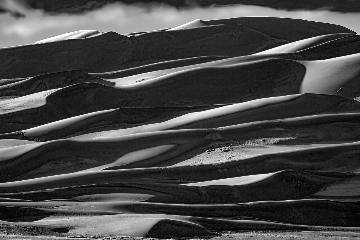 Light and shadow on dune ridges