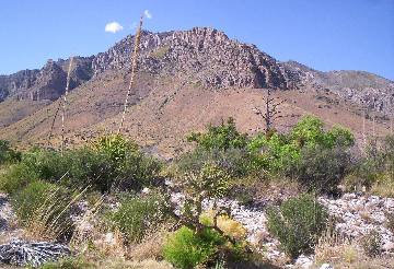Guadalupe Mountains desert landscape
