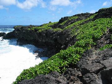 The Kipahulu coast