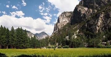 Zumwalt Meadow in Kings Canyon