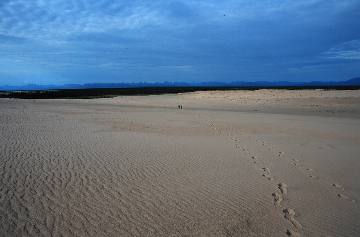 The Great Kobuk Sand Dunes